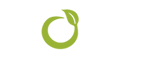 magnum logo color